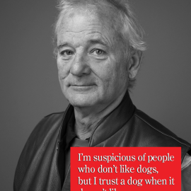 Presented without Comment: Bill Murray on Dogs