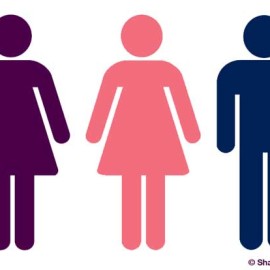 Is bisexuality more common among women or men?