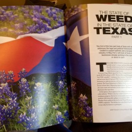 The State of Weed in the State of Texas — New Piece in mg